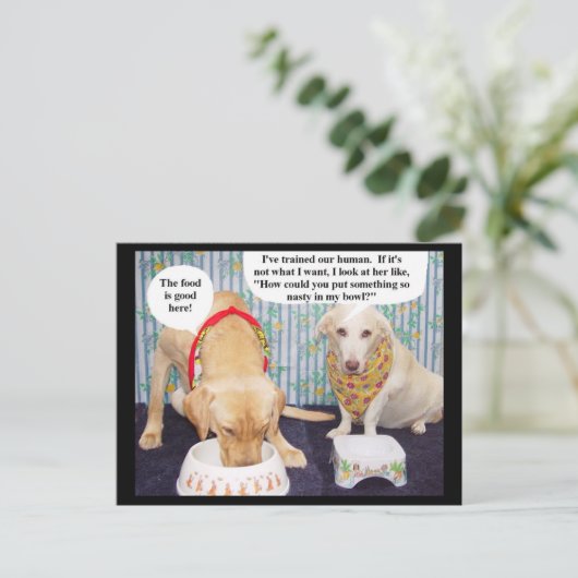 Myrtie & Moses Bespreek het menu (Staand voorkant)