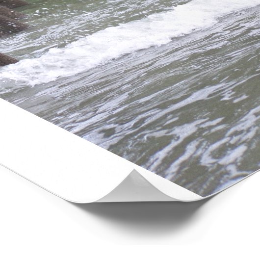 Myrtle Beach 2009 075 Poster (Hoek)