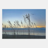 Myrtle Beach Grass Sunrise Foto Inpakpapier Vel (Voorkant 2)