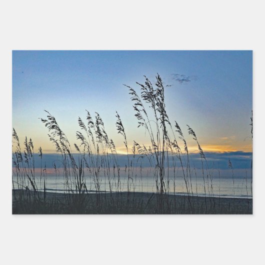 Myrtle Beach Grass Sunrise Foto Inpakpapier Vel (Voorkant)