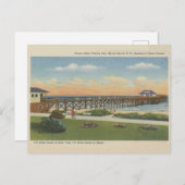  Myrtle Beach South Carolina Gevist Pier Briefkaart (Voorkant / Achterkant)