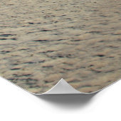 Myrtle Beach State Park, South Carolina Poster (Hoek)