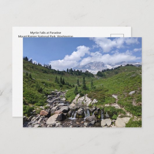 Myrtle Herfsten, Paradise - Mt. Rainier National P Briefkaart (Voorkant / Achterkant)