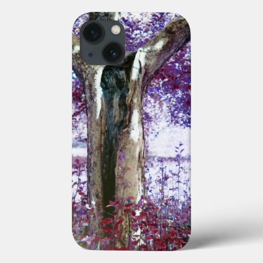 Mysterie Case-Mate iPhone Case (Achterkant)