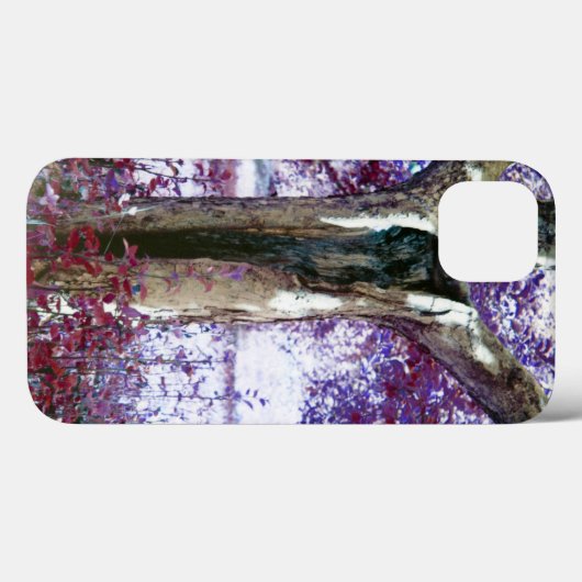 Mysterie Case-Mate iPhone Case (Achterkant (horizontaal))