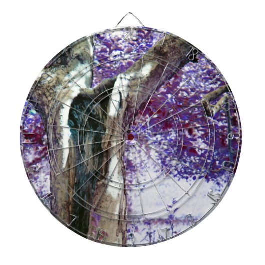 Mysterie Dartbord (Voorkant)