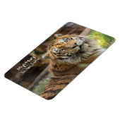 Mysterie -  magneet (Linkerzijde)