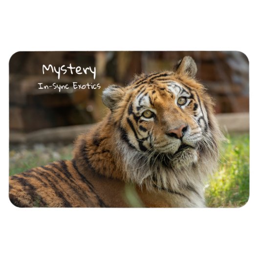 Mysterie -  magneet (Horizontaal)