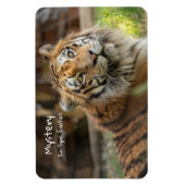 Mysterie -  magneet (Verticaal)