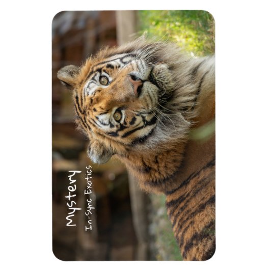 Mysterie -  magneet (Verticaal)