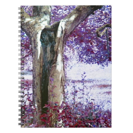 Mysterie Notitieboek (Voorkant)