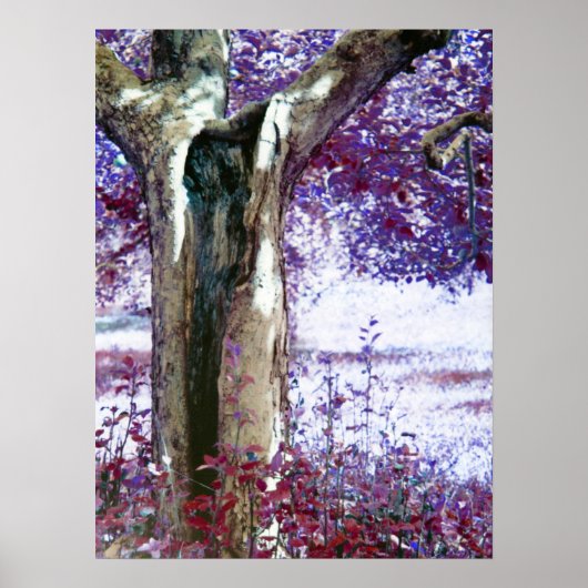 Mysterie Poster (Voorkant)