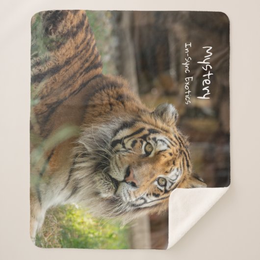 Mysterie -  sherpa deken (Voorkant)