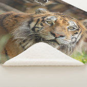 Mysterie -  sherpa deken (3/4)