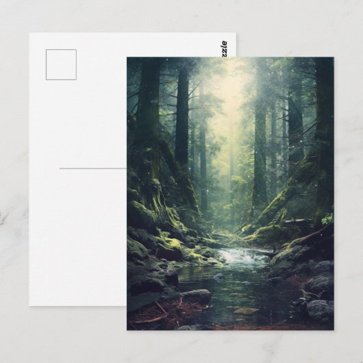 Mysteriel bos briefkaart (Voorkant / Achterkant)