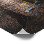 Mysteriel bronbos poster (Hoek)