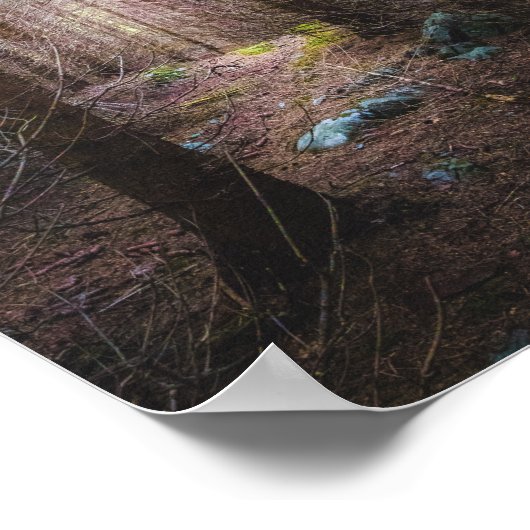 Mysteriel bronbos poster (Hoek)