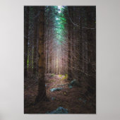 Mysteriel bronbos poster (Voorkant)