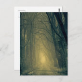 Mysteriel geel licht in het bos briefkaart (Voorkant / Achterkant)