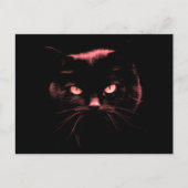 Mysteriel kat briefkaart (Voorkant)