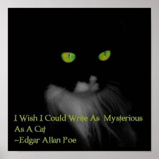 Mysteriel kat poster (Voorkant)