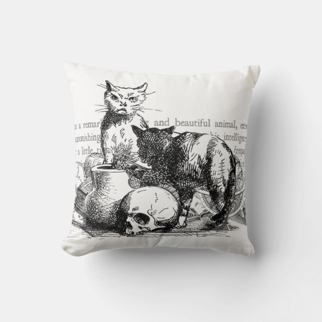 Mysteriele katten kussen (Voorkant)