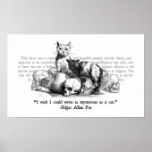 Mysteriele katten poster (Voorkant)