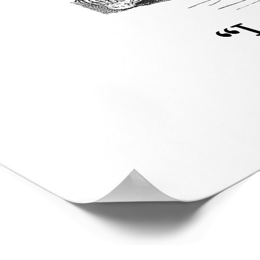 Mysteriele katten poster (Hoek)