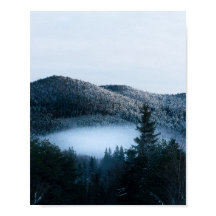 Mysteriele mist gevangen in wintersparrenbos