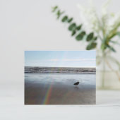 Mysteriele regenboog briefkaart (Staand voorkant)