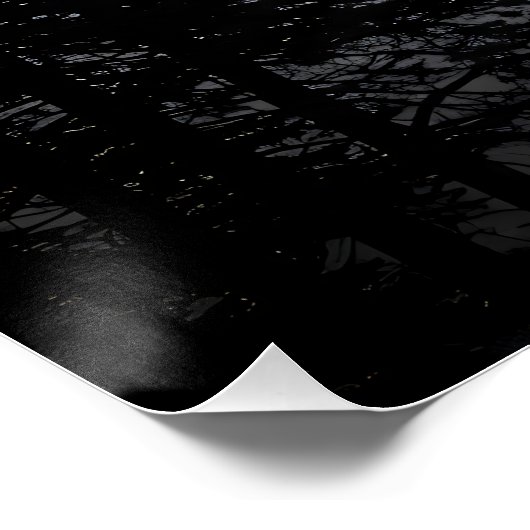 Mysteries van de mist perfect poster (Hoek)