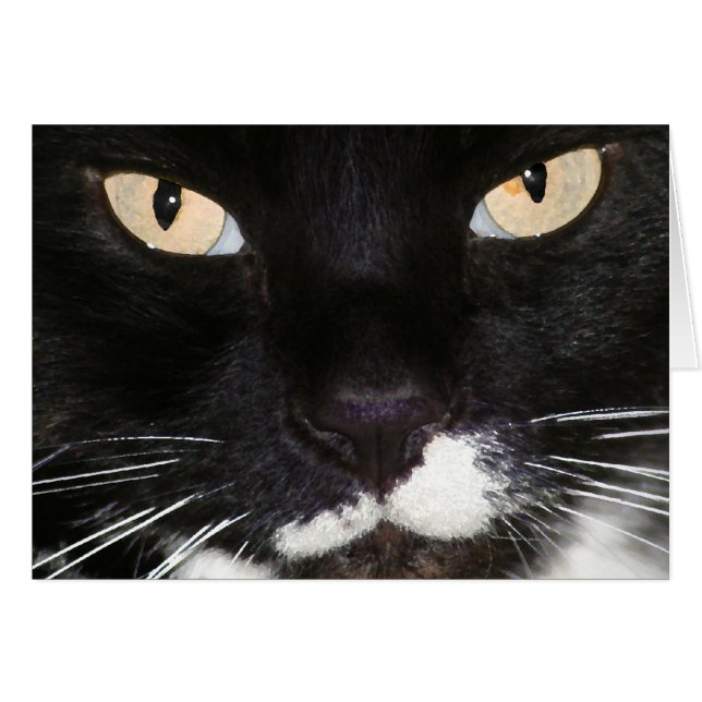 mysterieus (Voorkant Horizontaal)