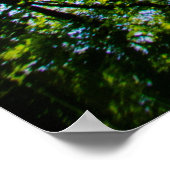 Mysterieus pad  poster (Hoek)