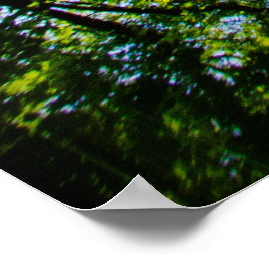 Mysterieus pad  poster (Hoek)