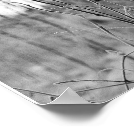 mysterieus poster (Hoek)