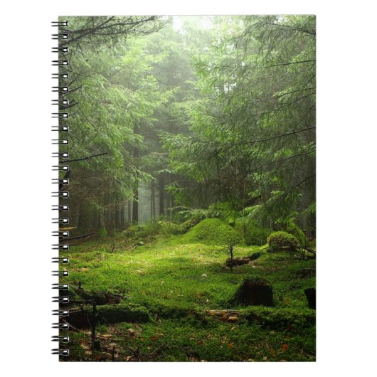 Mysterieus Woud Notitieboek (Voorkant)