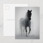 Mysterieus zwart paard uit de mist briefkaart (Voorkant / Achterkant)