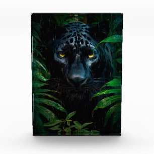 Mysterieuze Black Panther Jungle Wilde Natuur Ontw Fotoblokken