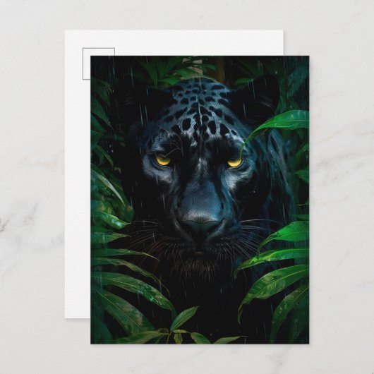 Mysterieuze Black Panther Oerwoud Wildlife Design Briefkaart (Voorkant / Achterkant)