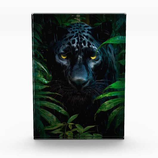 Mysterieuze Black Panther Oerwoud Wildlife Design Fotoblokken (Voorkant)