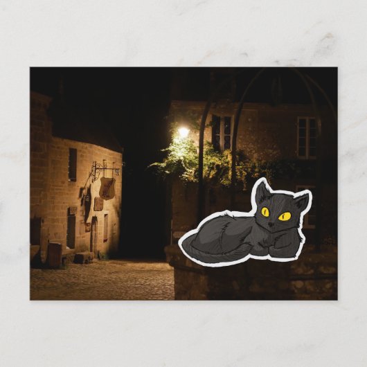 Mysterieuze Kat Briefkaart (Voorkant)