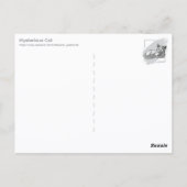 Mysterieuze Kat Briefkaart (Achterkant)