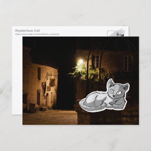Mysterieuze Kat Briefkaart (Voorkant / Achterkant)