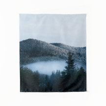 Mysterieuze mist gevangen in winter besparrenbos
