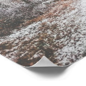 Mysterieuze weg in een bevroren broos bos poster (Hoek)