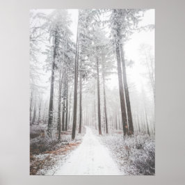 Mysterieuze weg in een bevroren nevelig bos poster