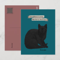 Mysterieuze Zwarte Kat Citaat Persoonlijke Teal Ro