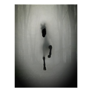 Mysterieuze zwarte paard loopt in nevelige mistige perfect poster