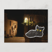 Mysterious Cat Briefkaart (Voorkant)