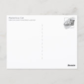 Mysterious Cat Briefkaart (Achterkant)